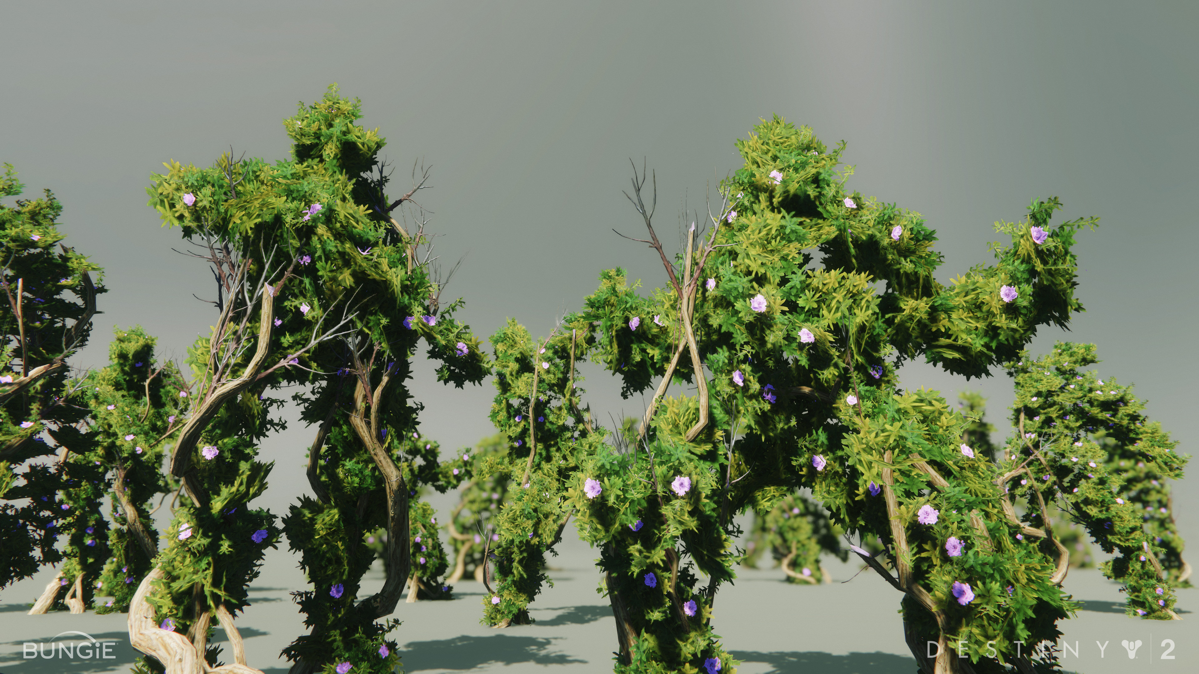 Tree People Dance Party