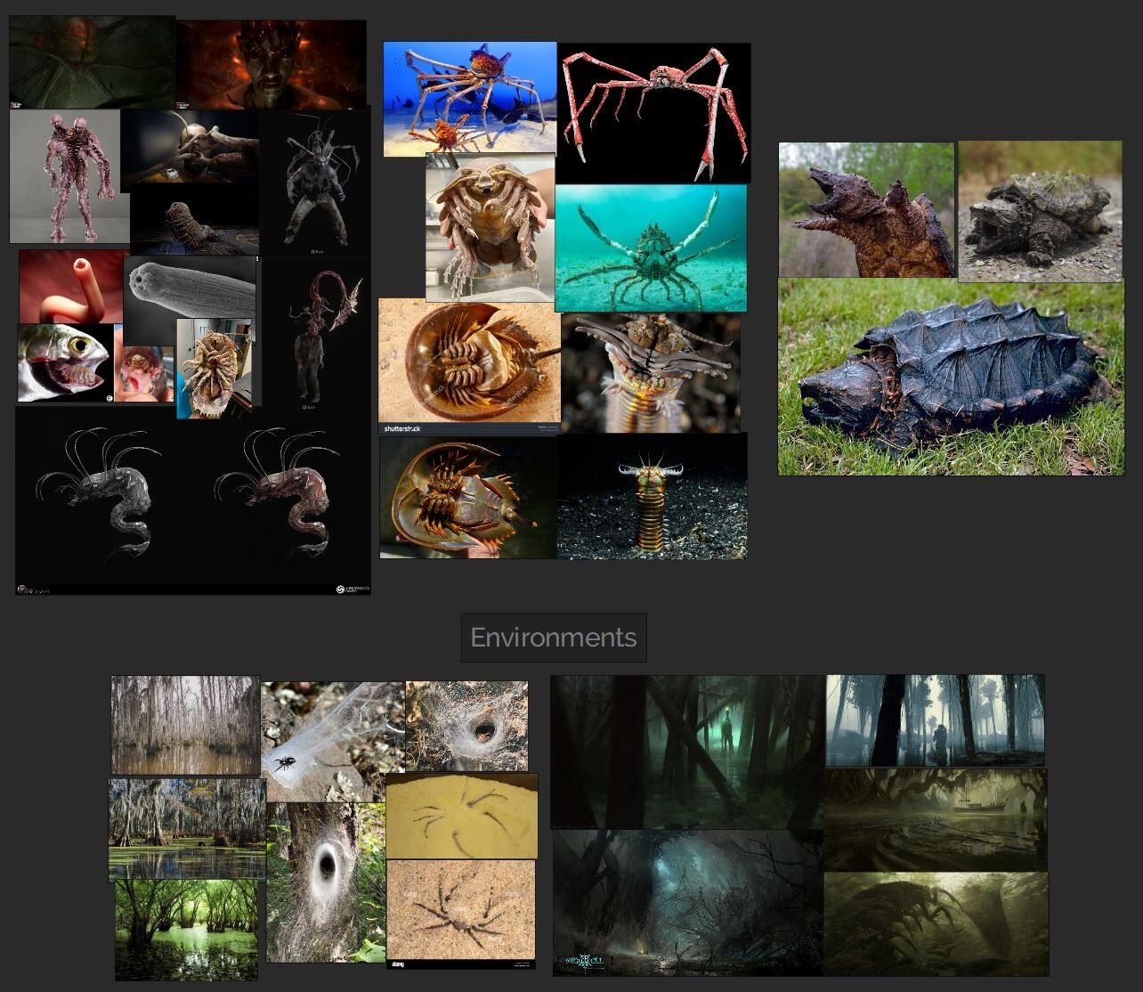 PureRef Moodboard