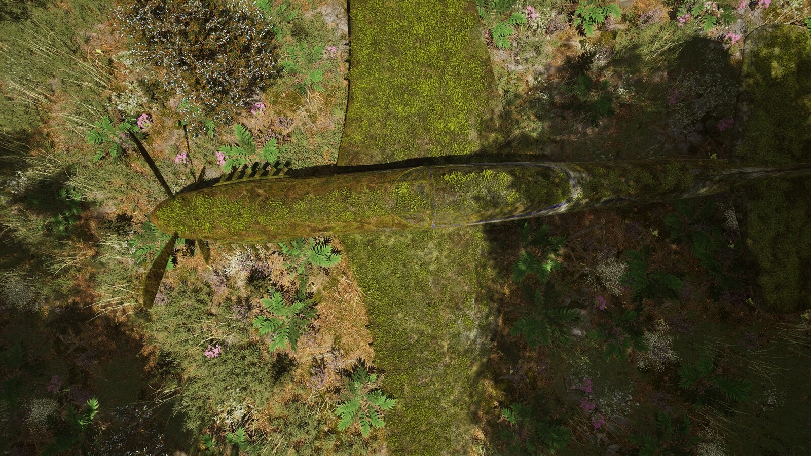 Some renders of the plane and the scene