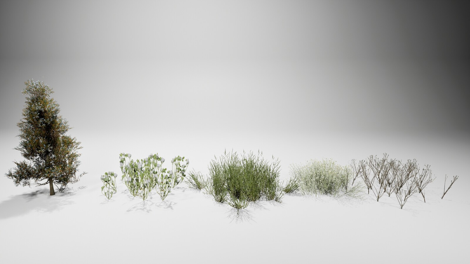 Ground Foliages