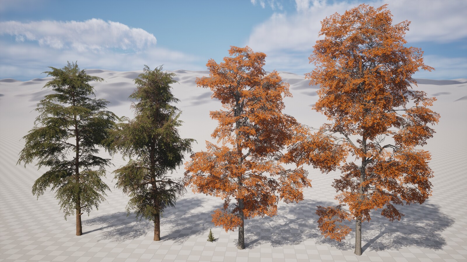 Trees