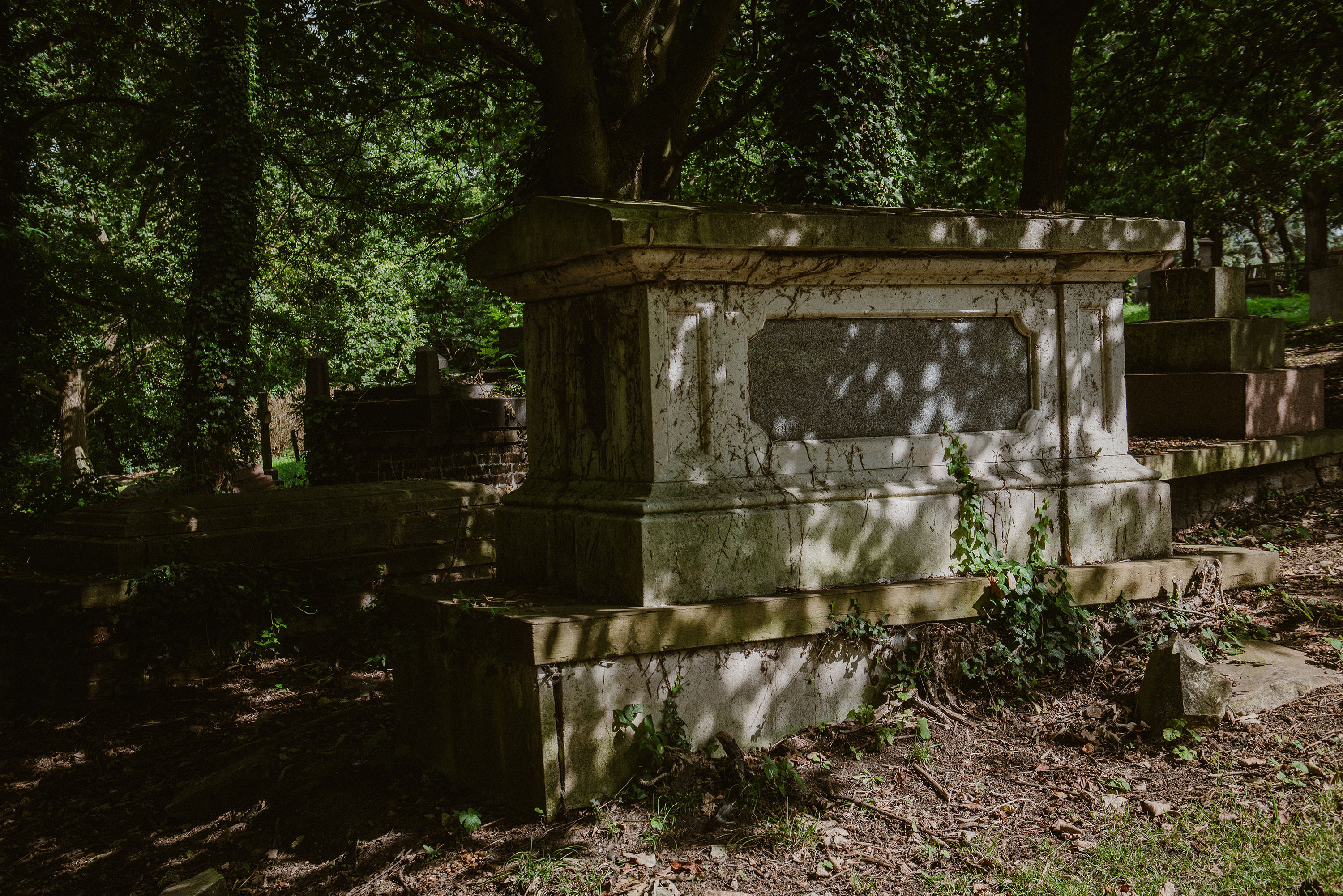One of the photographs I took in my nearby cemetery in London. More that recreating exactly the place, I wanted to capture the mood and create my own world 