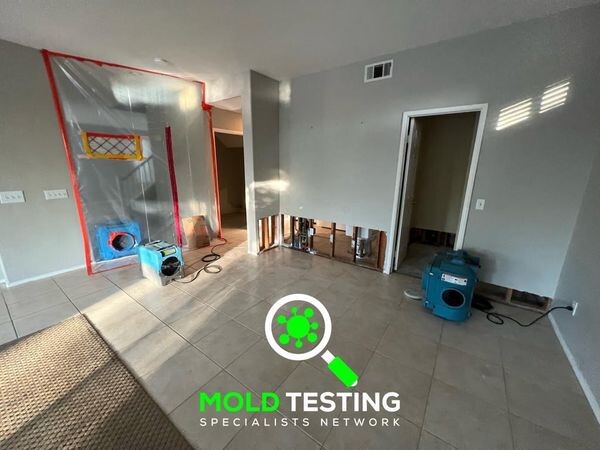 See Our 5 Recommended Mold Removal Companies in Augusta, GA