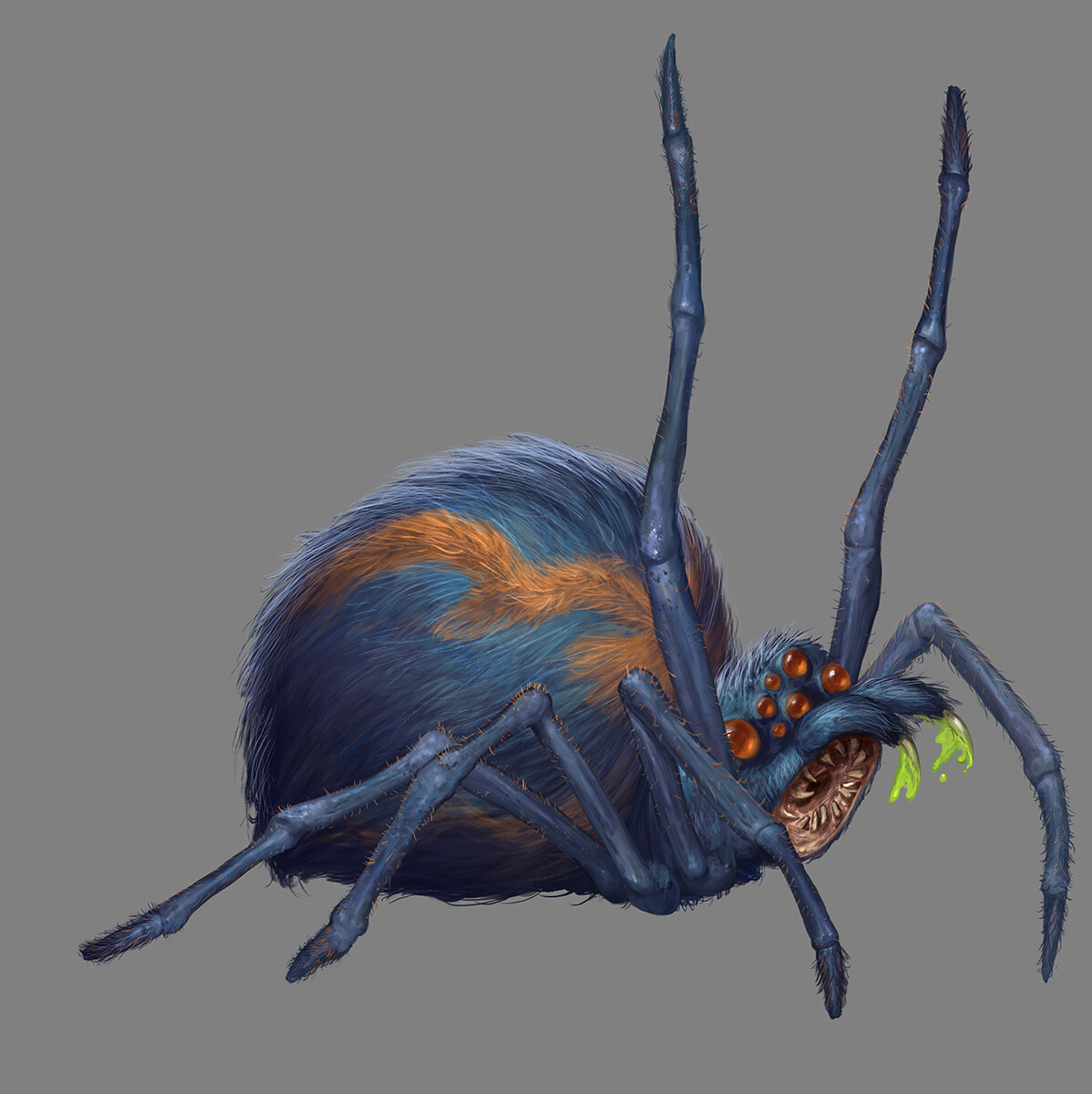 Spider from S1E1