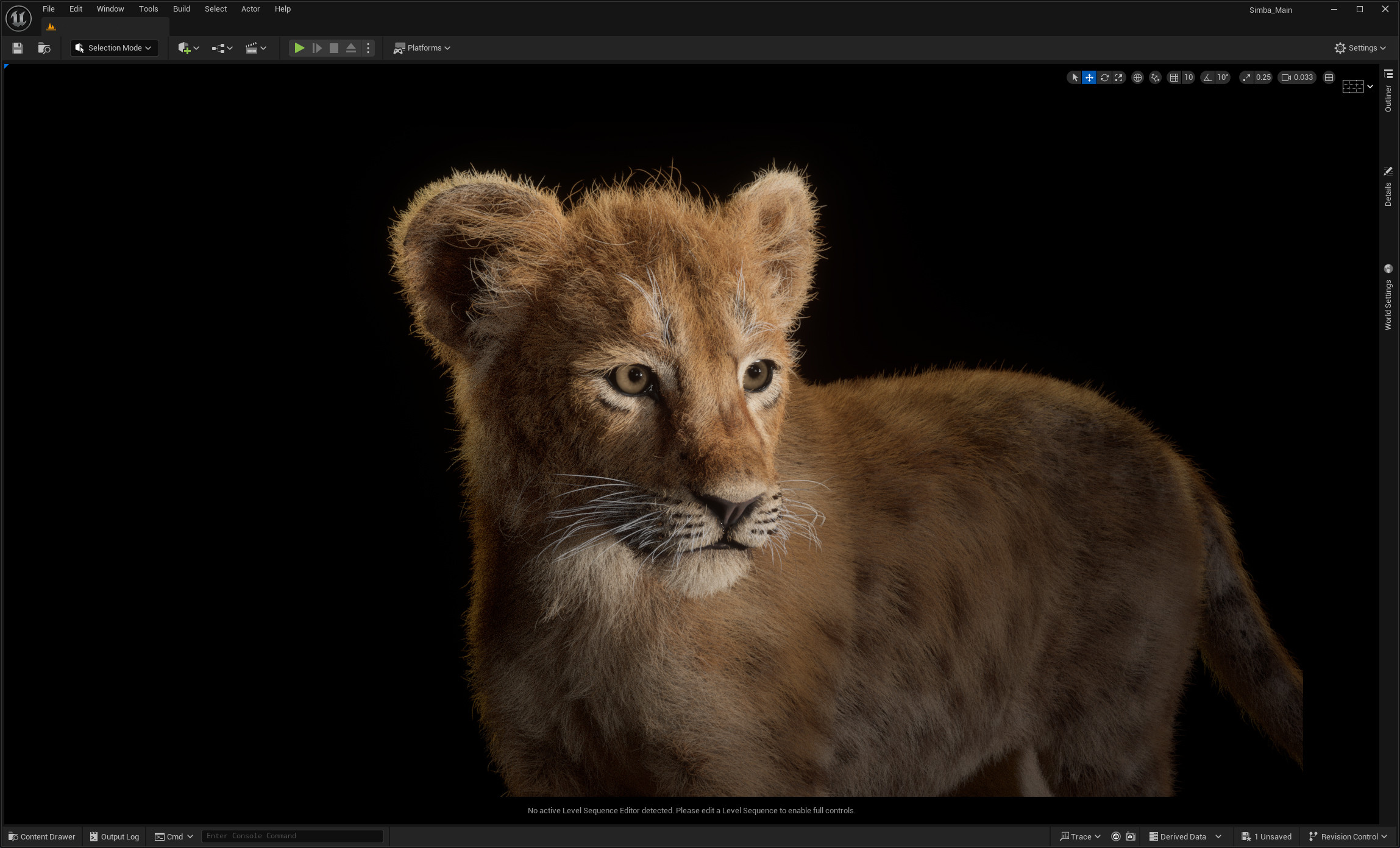 Unreal engine viewport