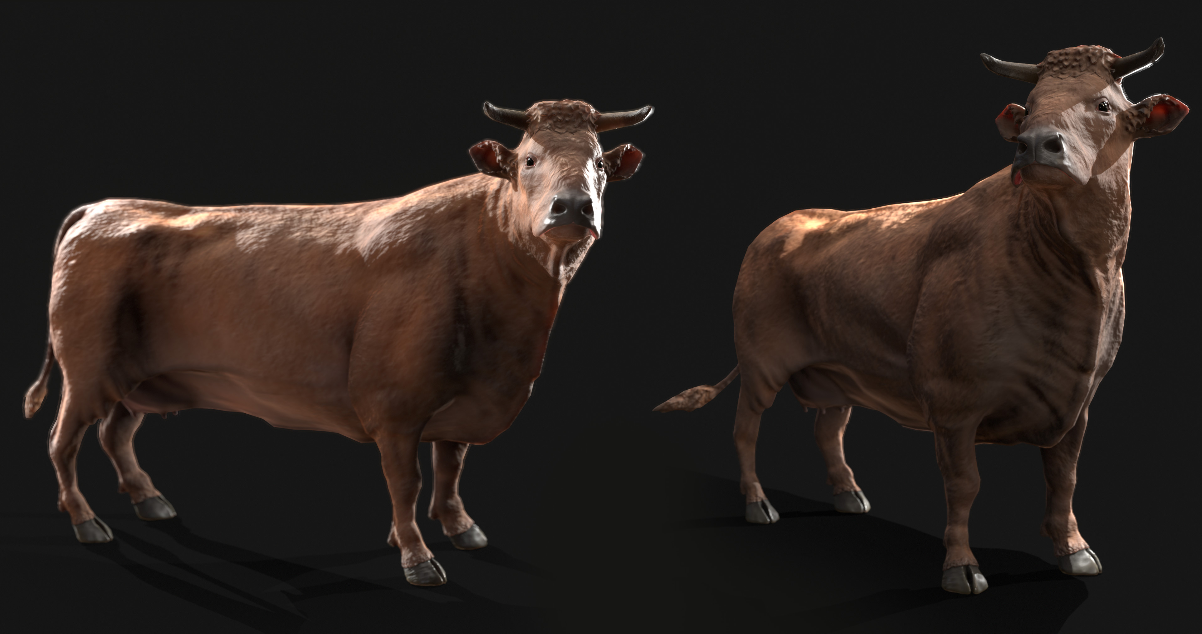 Idle Renders