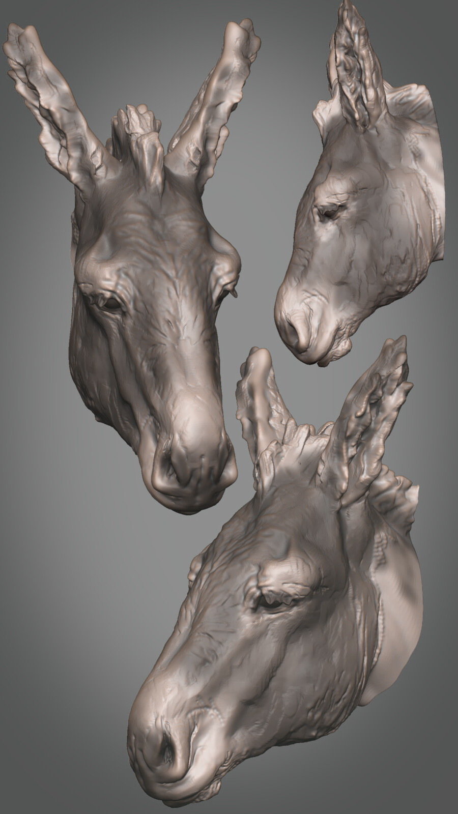 Donkey - Sketch 