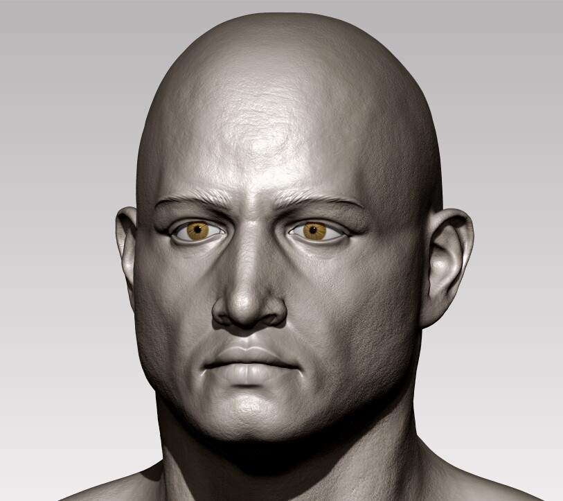 Face study