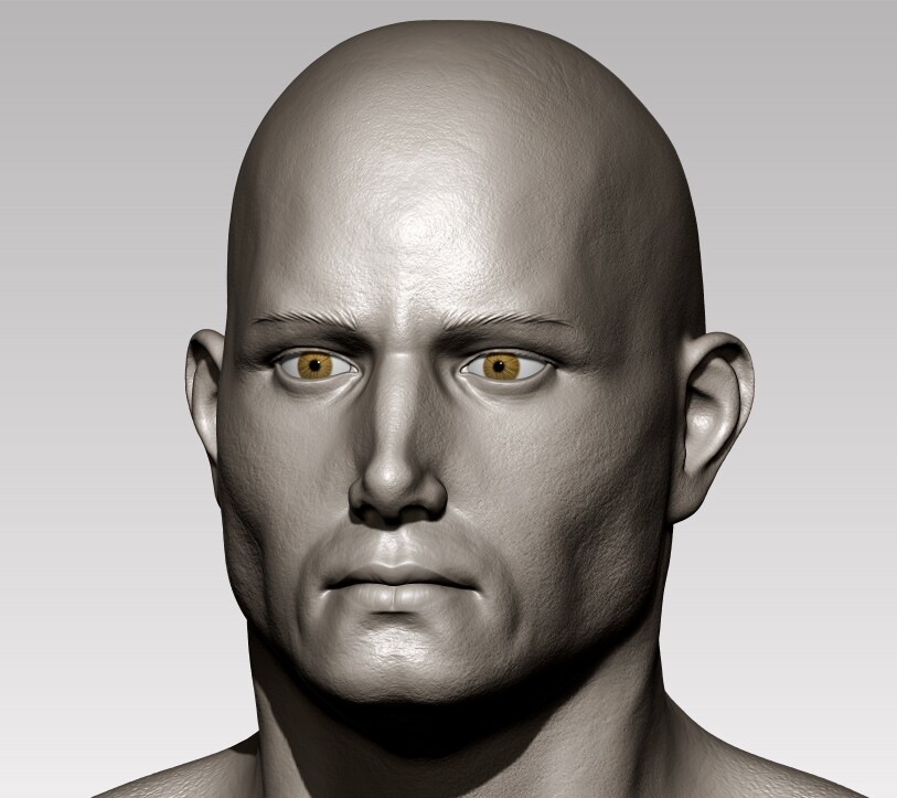 Face study