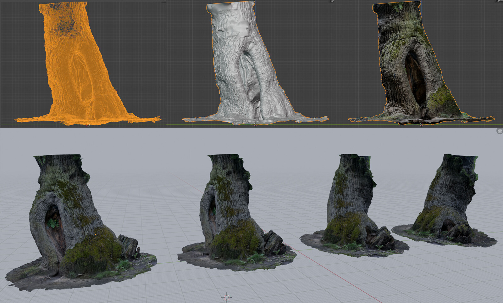 Main photogrammetry asset. 3D scan from ~500 photos of an old tree in my local city park.