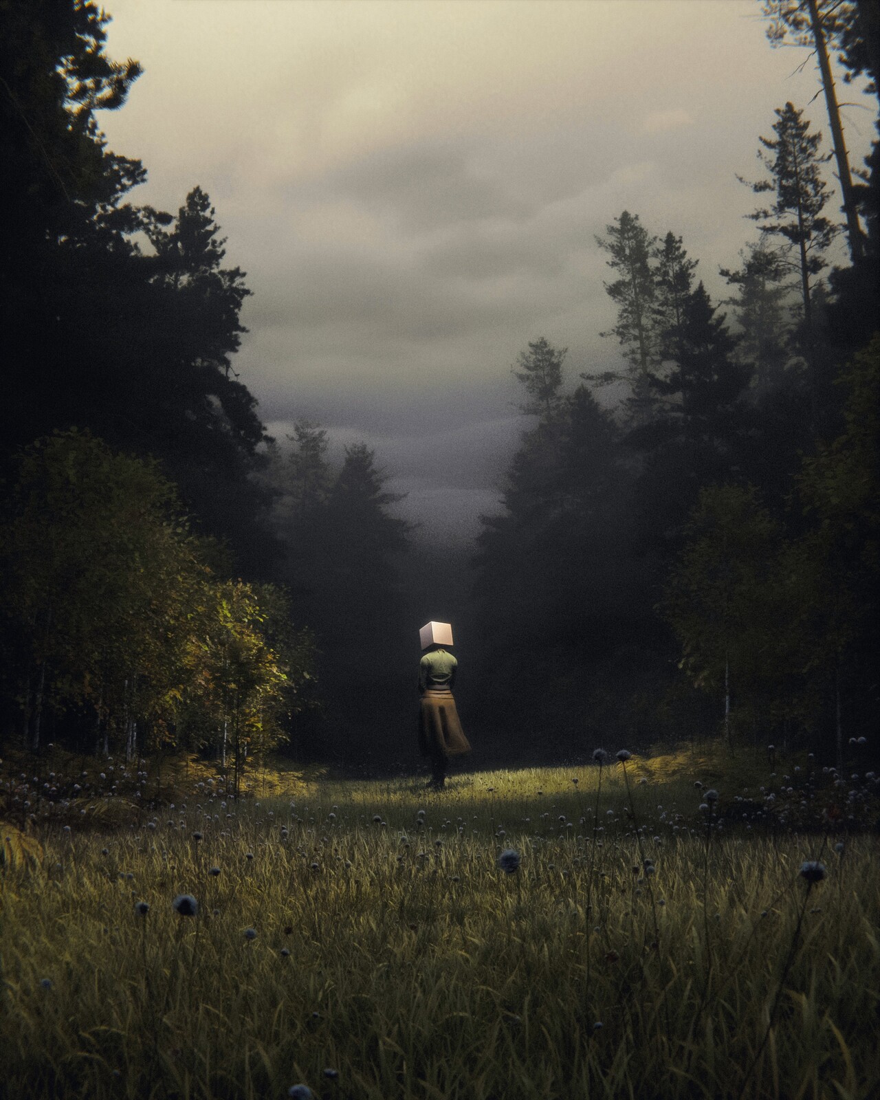 serene solitude