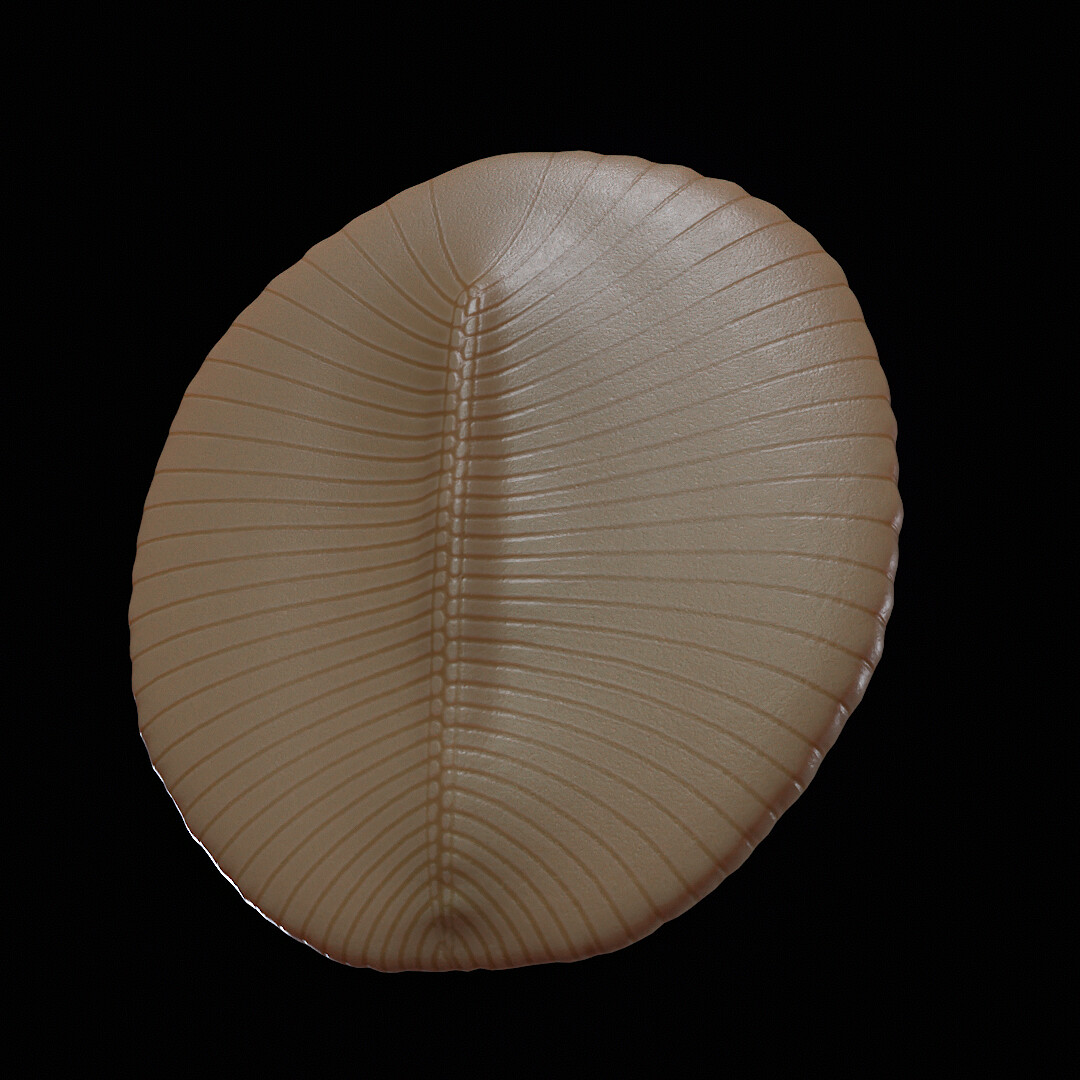 Dickinsonia