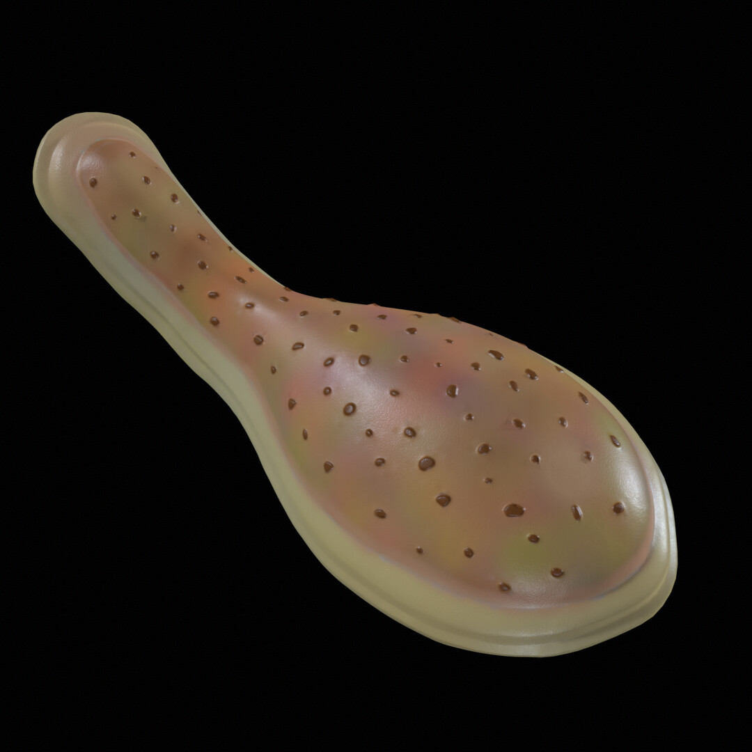 Kymberella