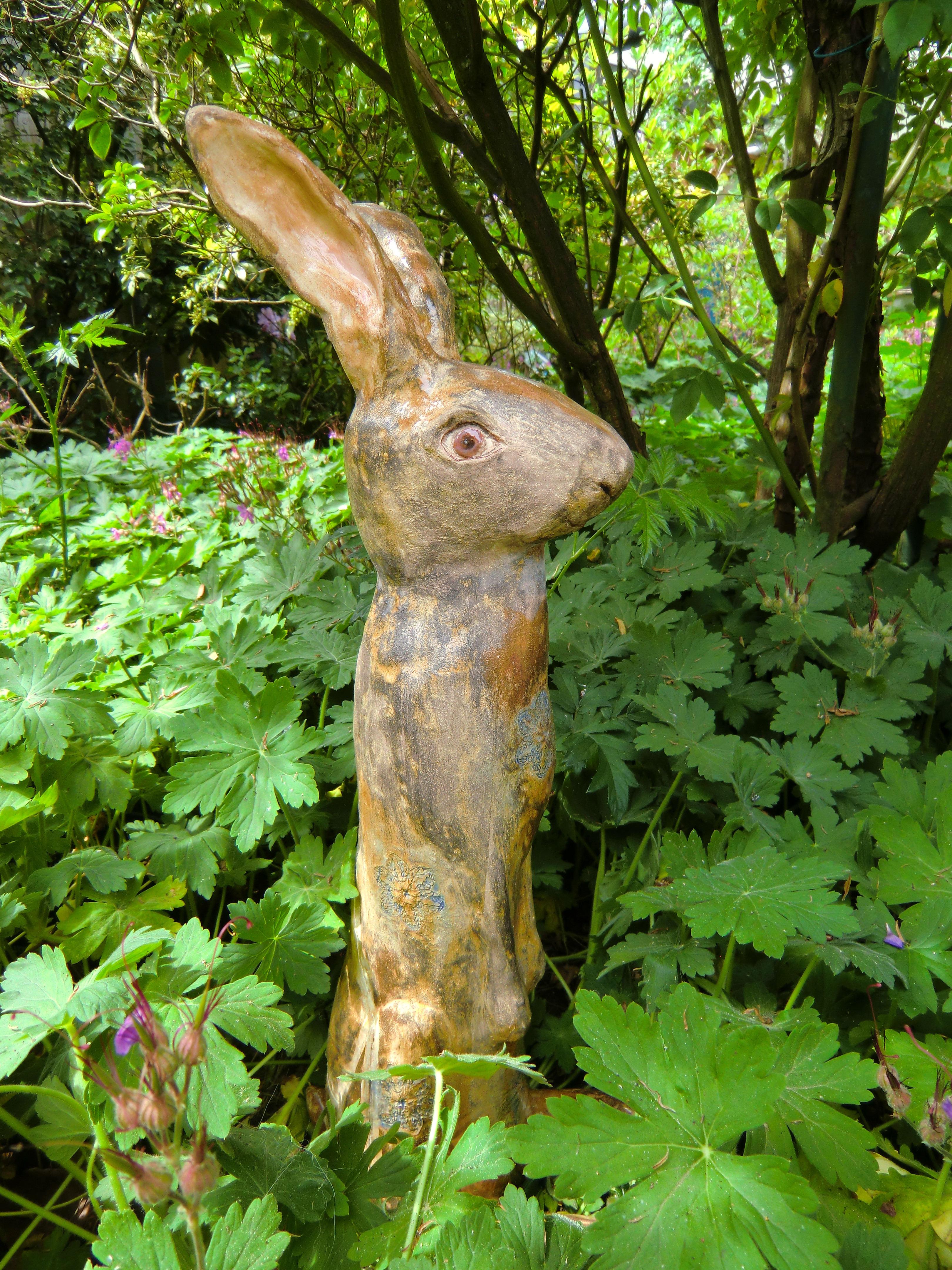 Skinny hare 2