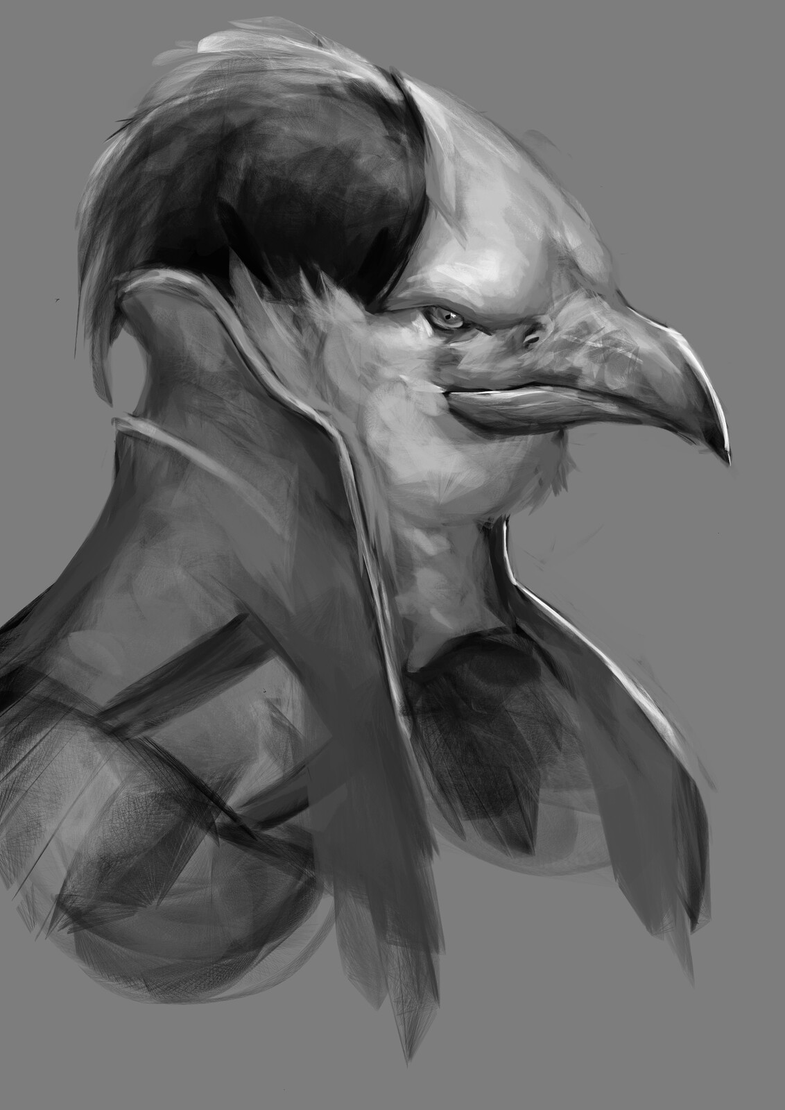 Sketch