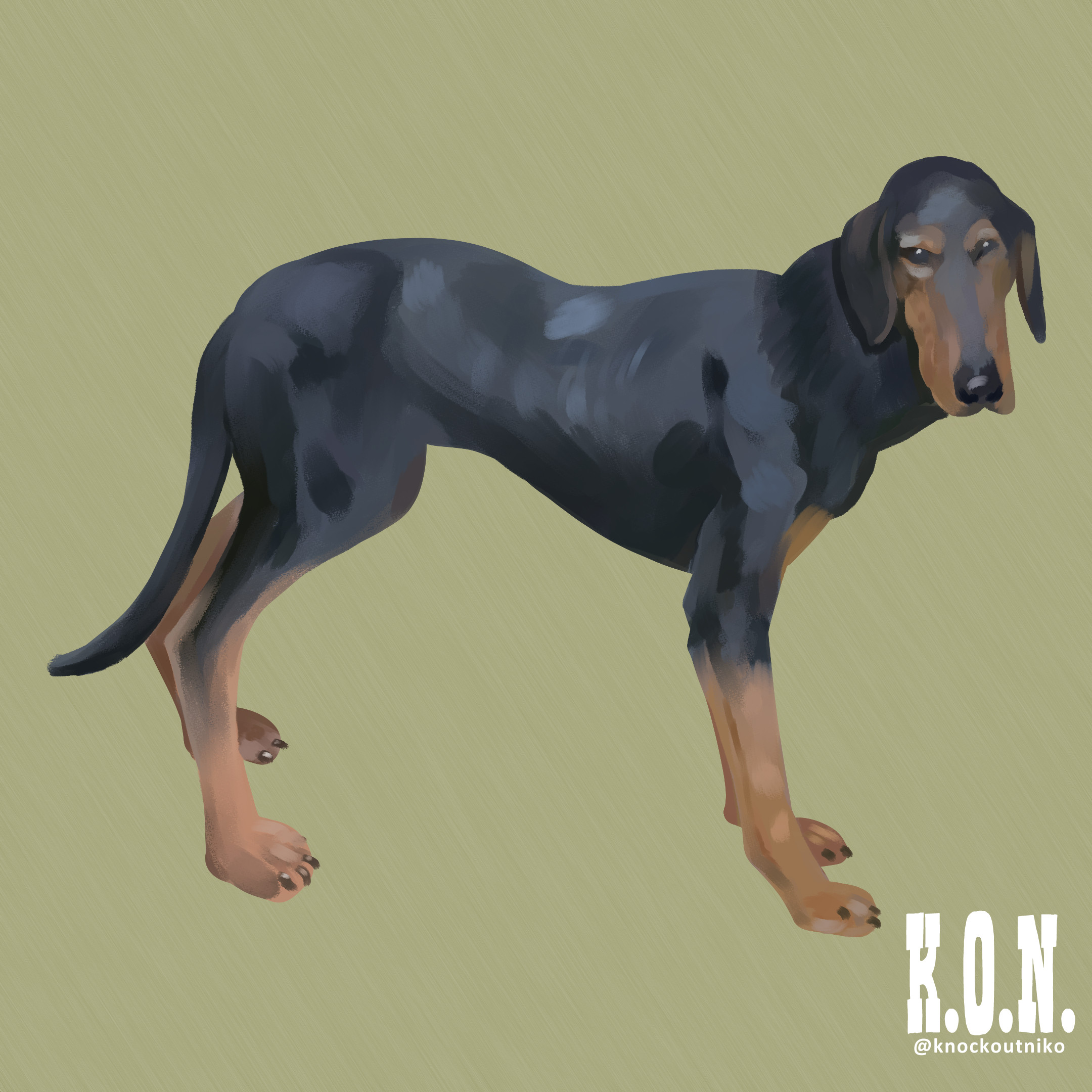 Hellenic Hound