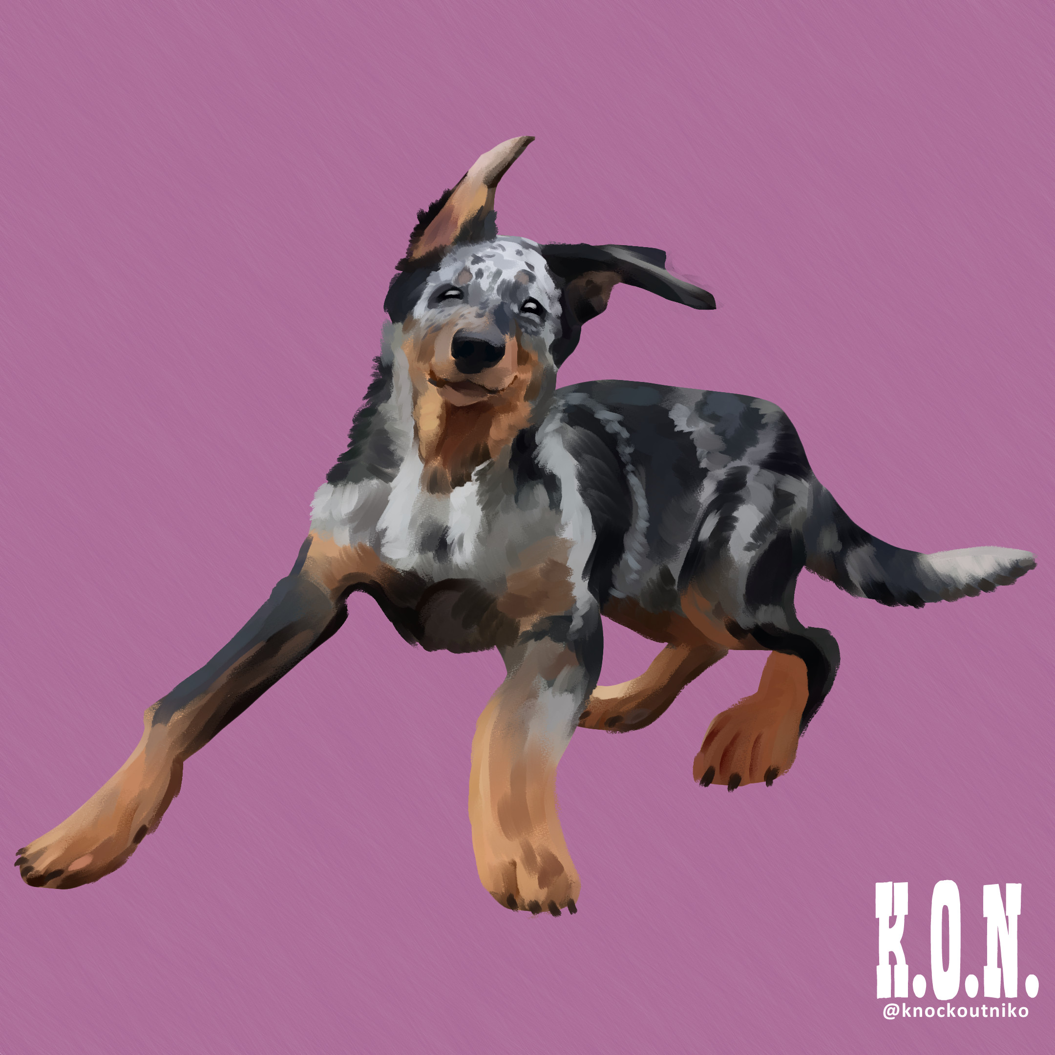 Beauceron
