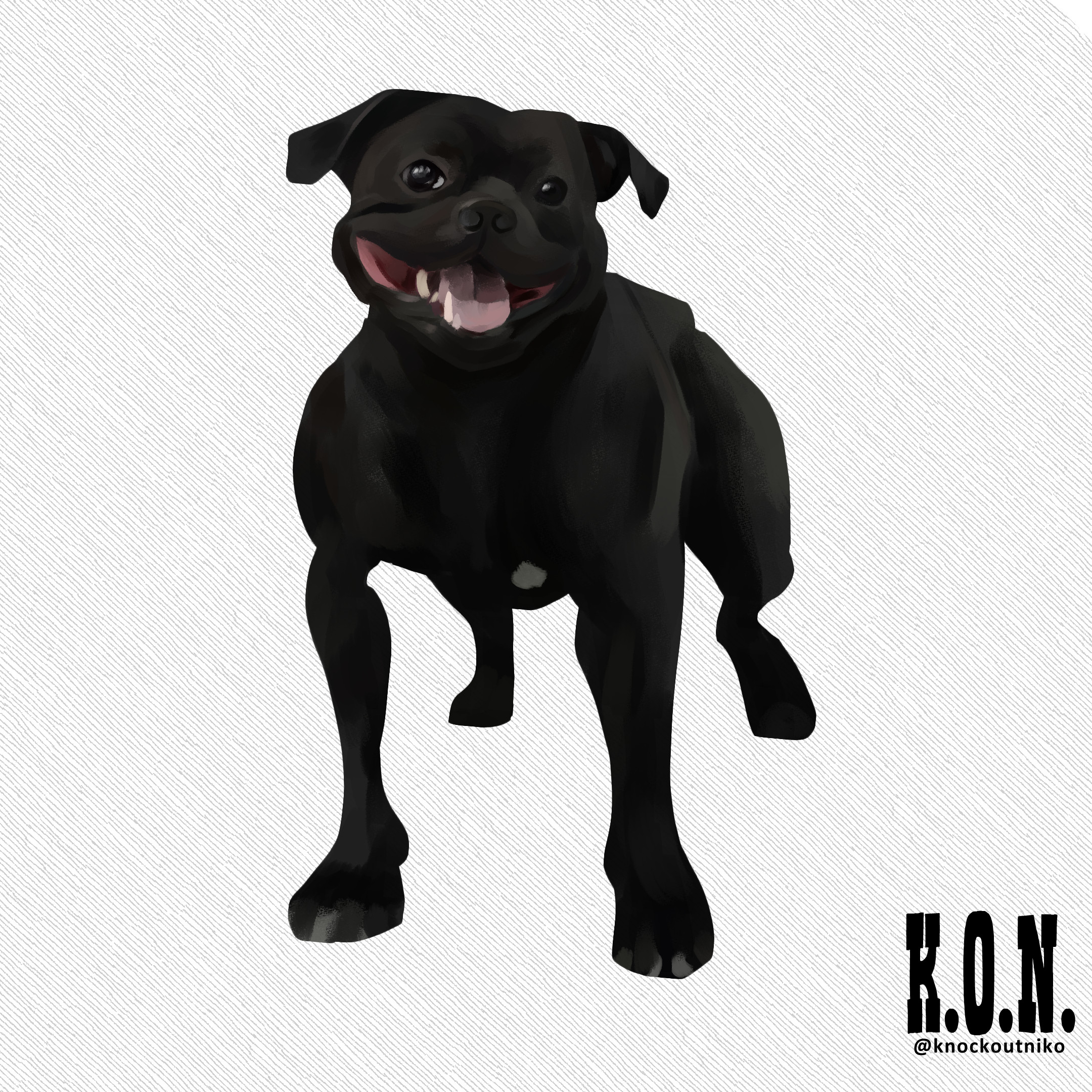Staffordshire Terrier