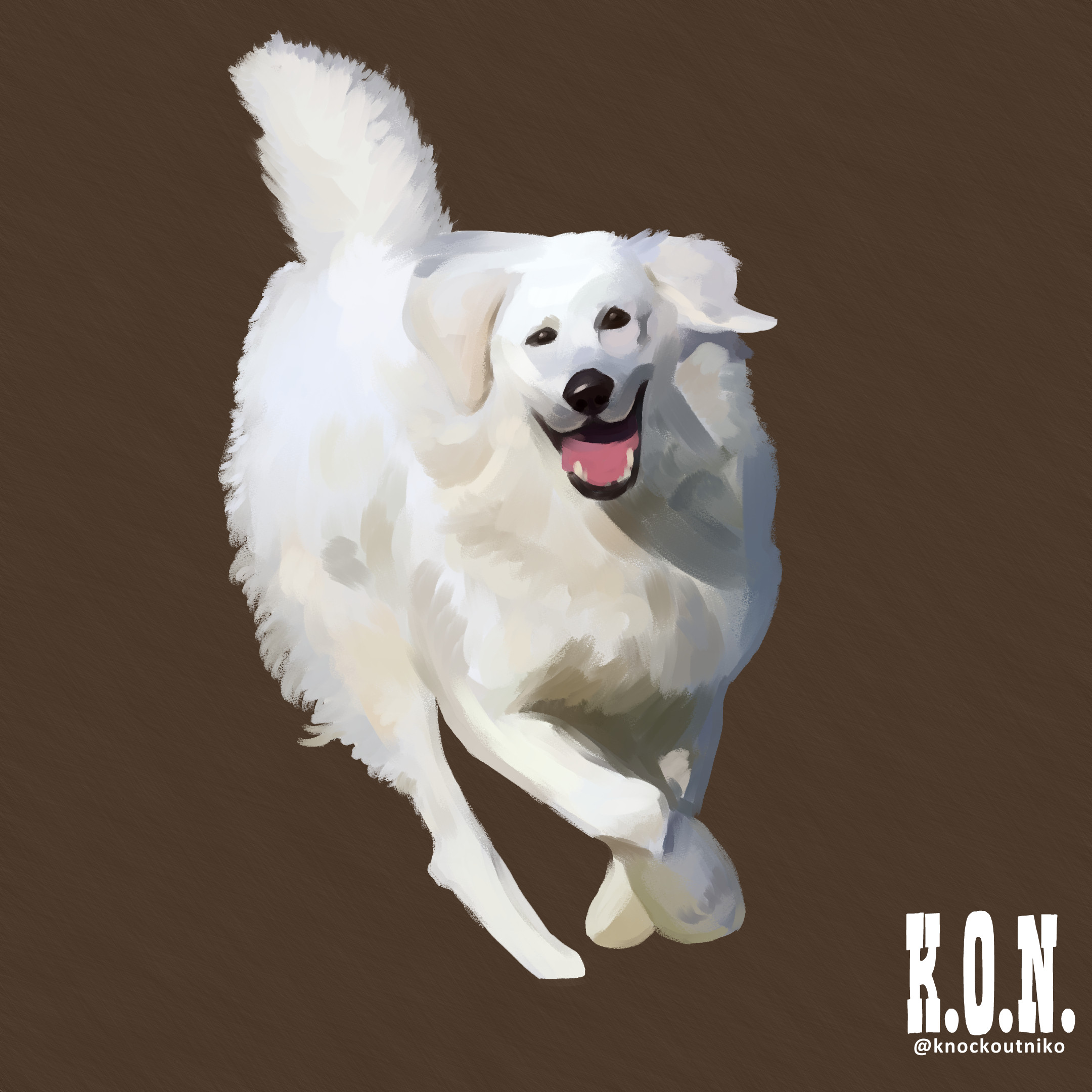 Kuvasz