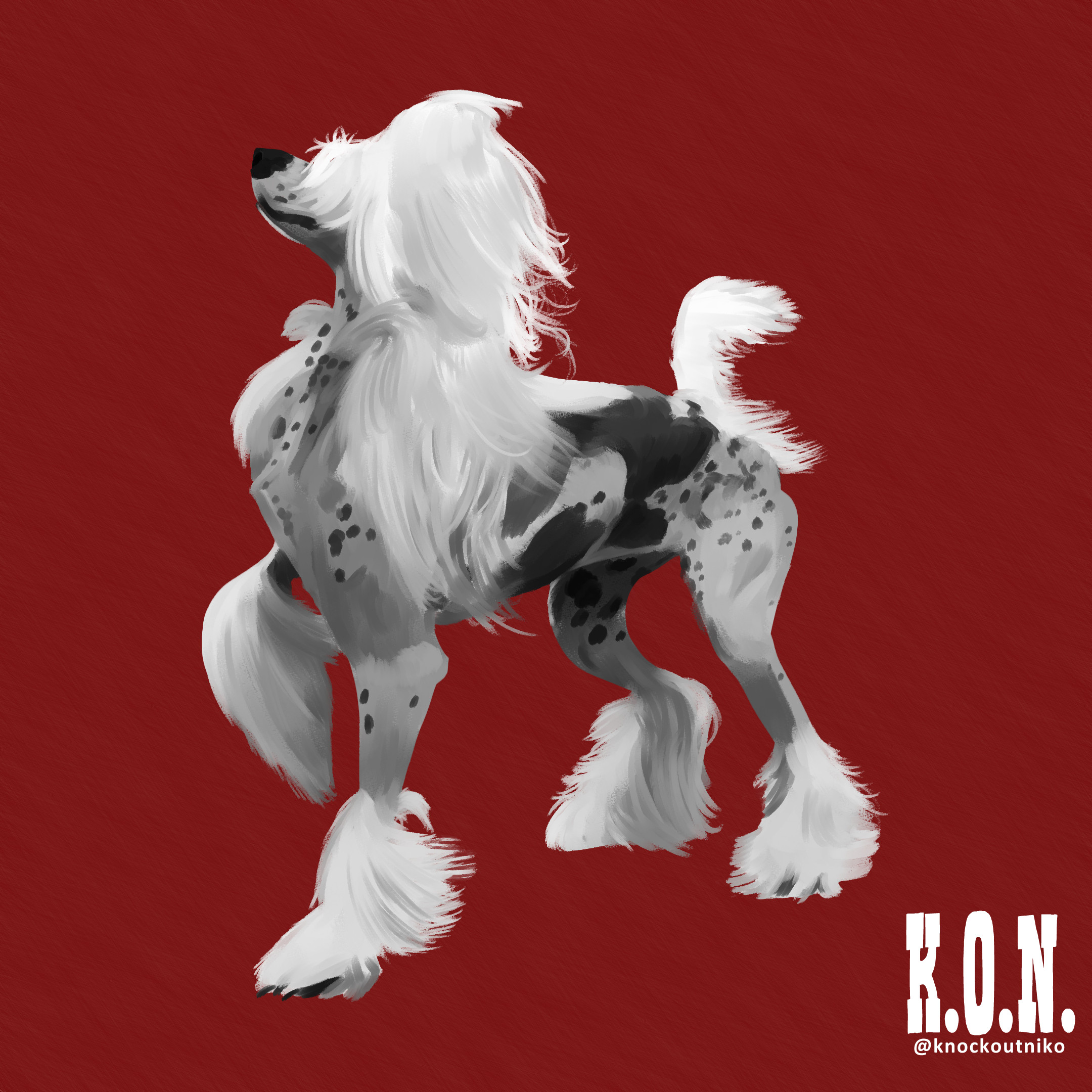 Chinese Crested Dog