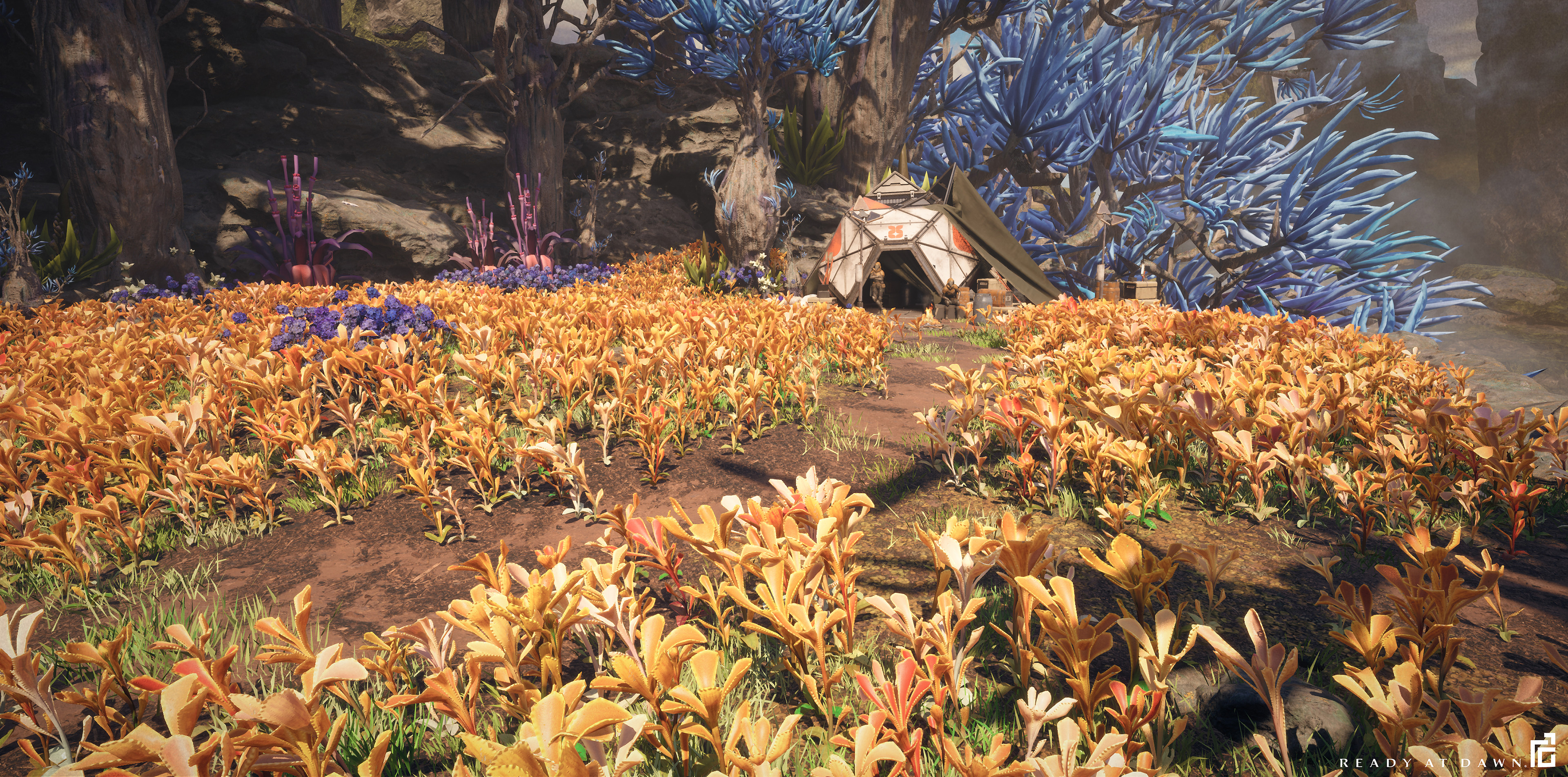 Responsible for Model, Sculpt and bakes of the Orange Senecio Plants and the Purple Nigrican Plants in the back and the grass

Texture of the above assets by: Brandi (Parish) Andreason

Lighting by: Guillaume Deschamps-Michel
