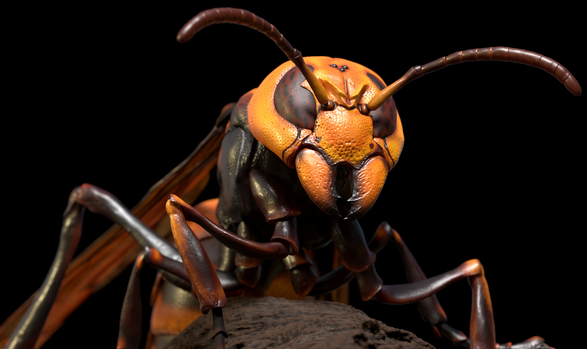 Japanese Hornet rendered in Redshift for ZBrush