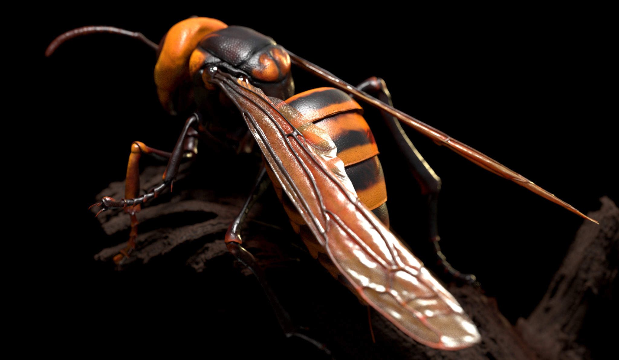 Japanese Hornet rendered in Redshift for ZBrush