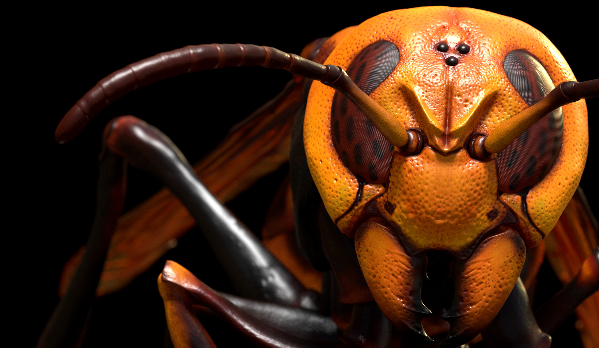 Japanese Hornet rendered in Redshift for ZBrush