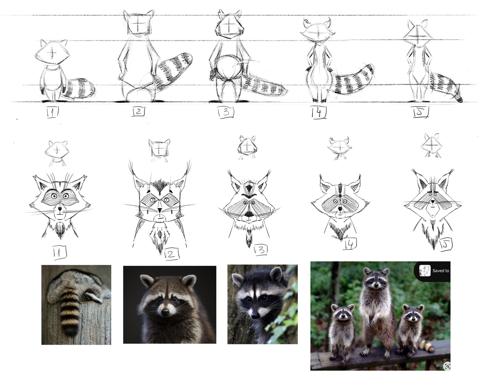Body and head exploration