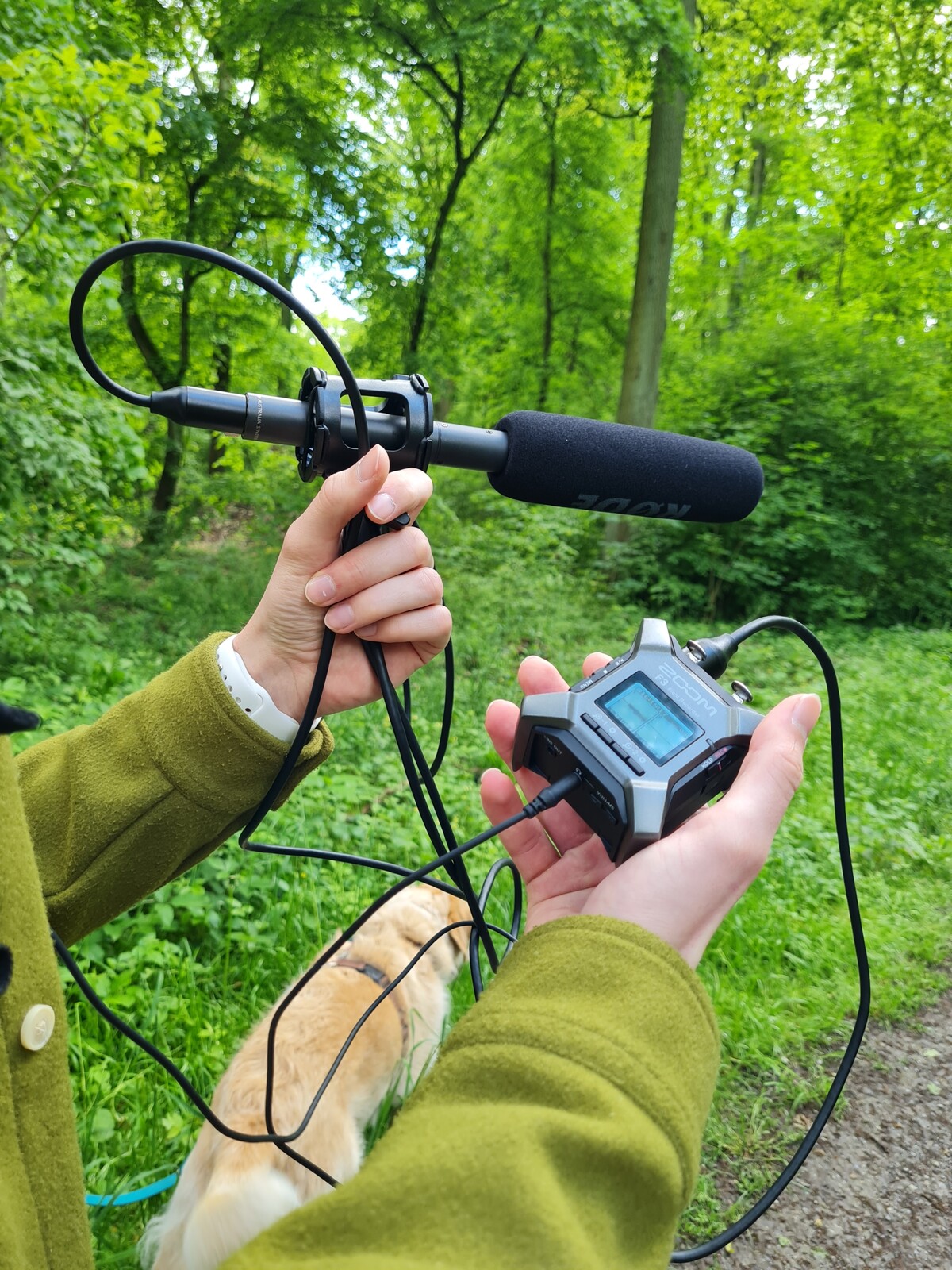 Field Recording