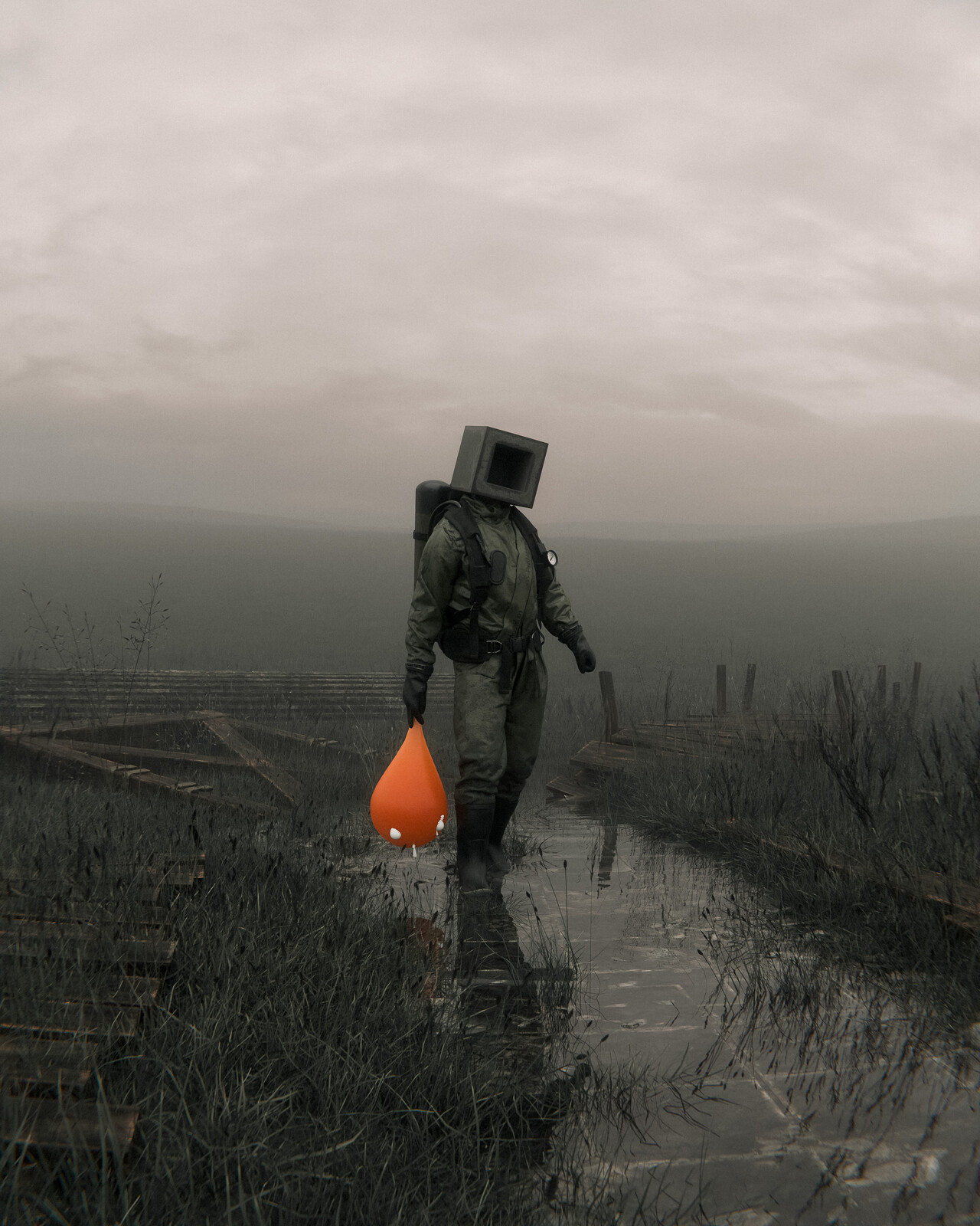 the orange companion