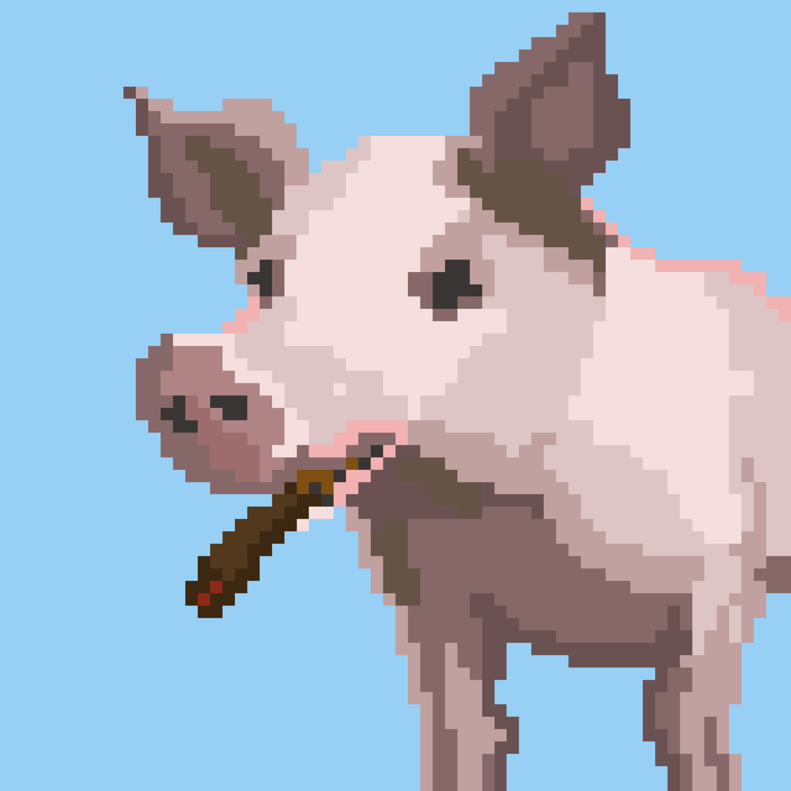 Smoking pig