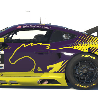 Ford Mustang GT3 Darkhorse Livery for MrFitzRacing Team 