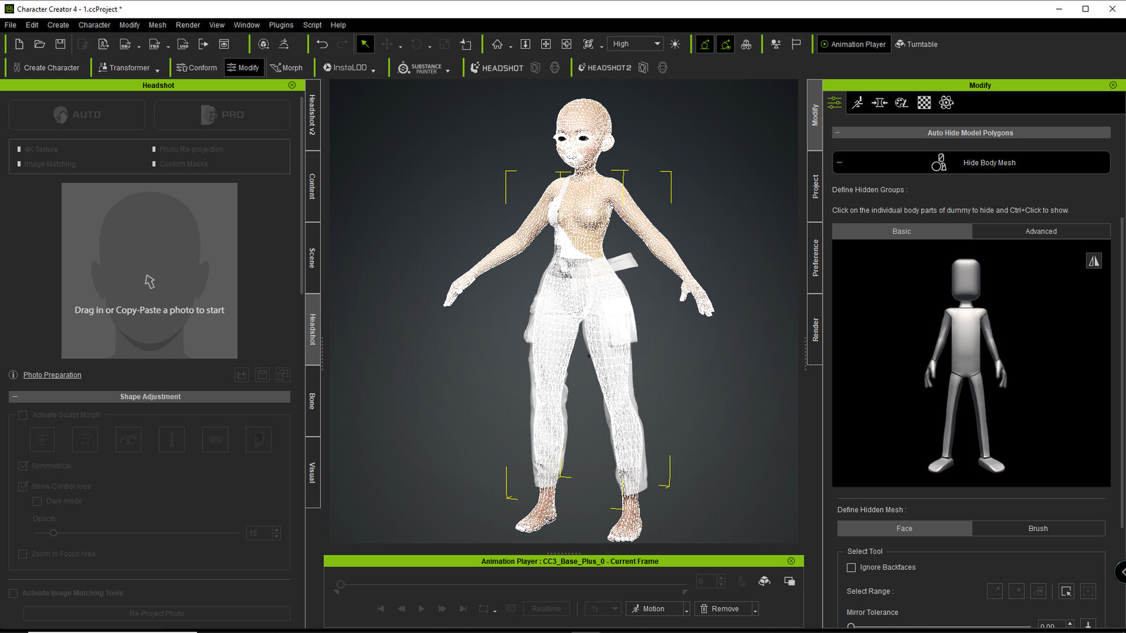 hide body mesh tool is very useful