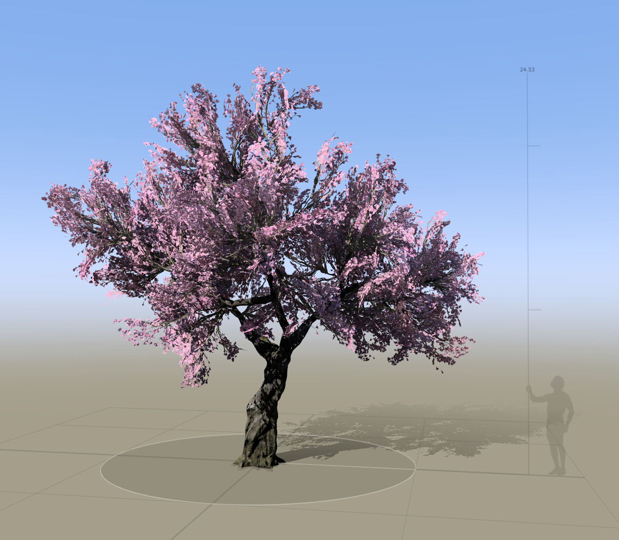 SpeedTree Viewport