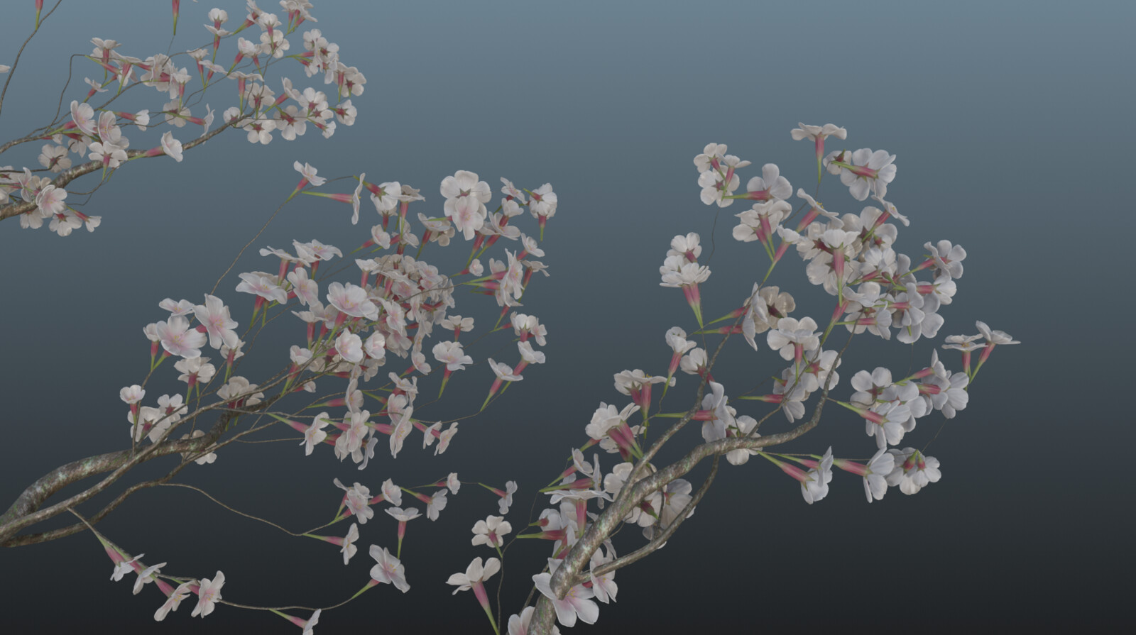 SpeedTree generated branches close-up