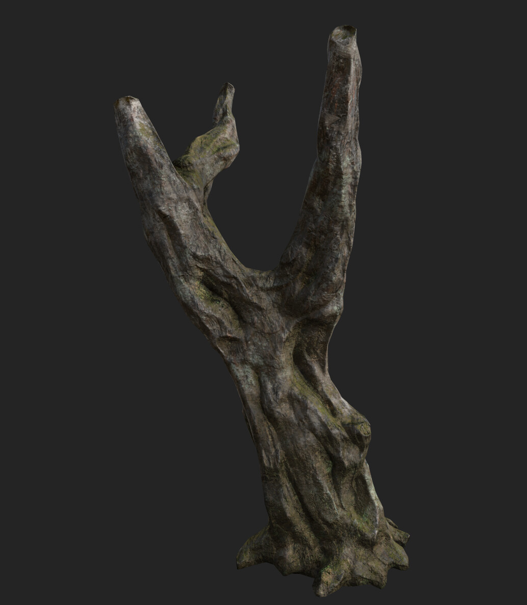 Sculpted trunk, surfaced in Substance Painter