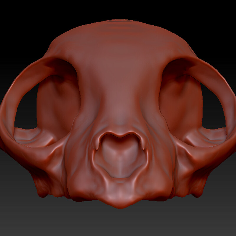 Approaching Realism: Making a Cat