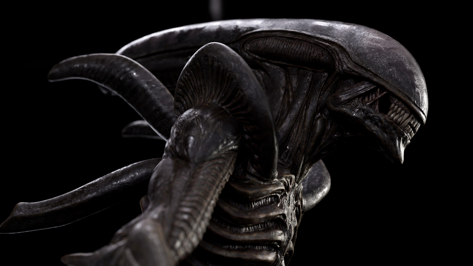 Xenomorph