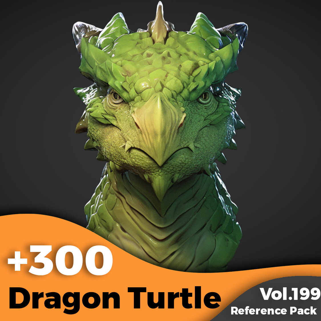 3D Head Sculpt References in 4K - Tika Art - +300 Dragon Turtle Head ...
