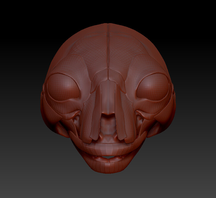 As you can see, without the recognizable features (nose, ears, jowls) it looks frightening and not very much like a cat. It's for that reason that I felt they were an important thing to make before finishing the rest of the musculature. 