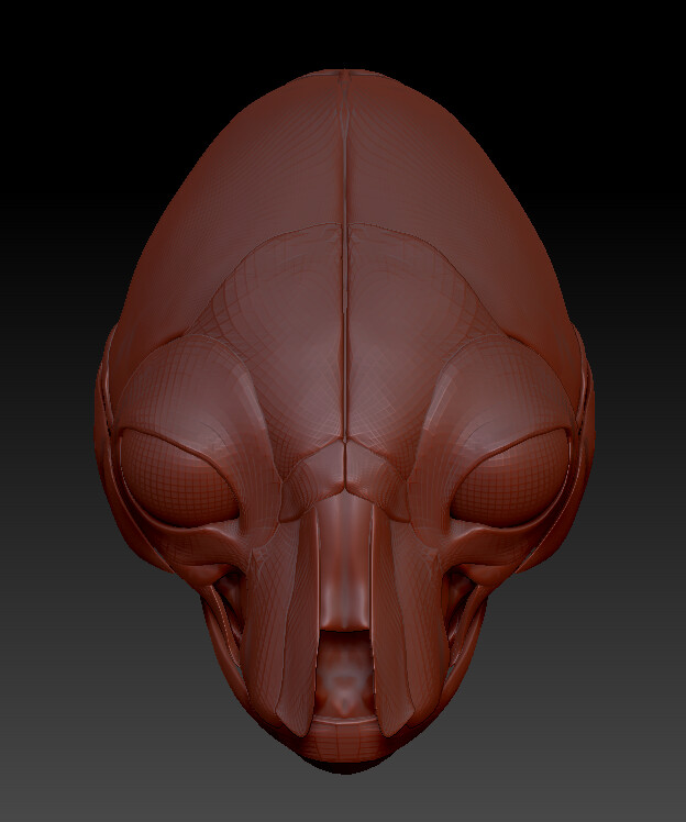 Every anatomical chart I have found is completely different in shape, scale, and placement of the deep muscles. I went with what I thought seemed best based on the charts available. Of course this meant that I did need to take some liberties. 