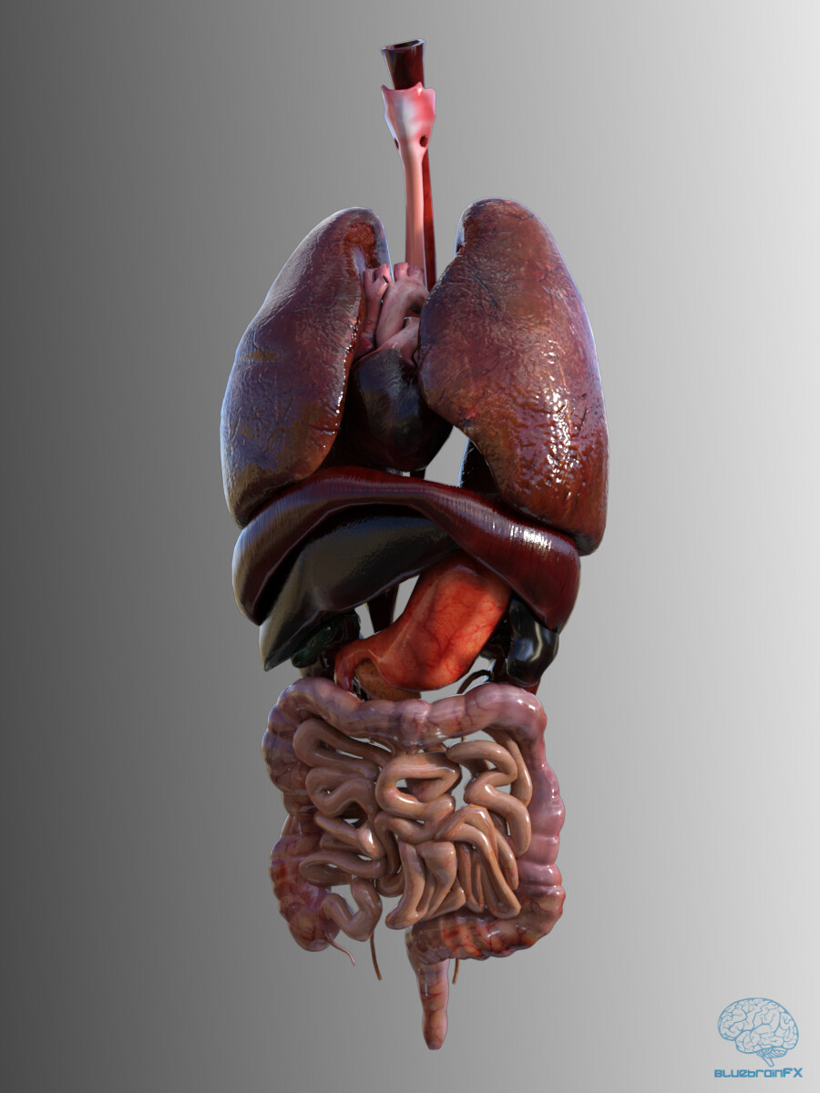 ArtStation Biology Diagrams
