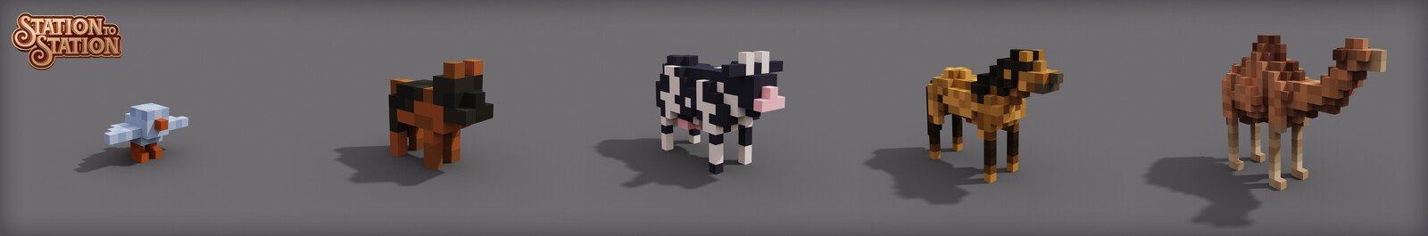Bird ─ Dog ─ Cow ─ Horse ─ Dromedary