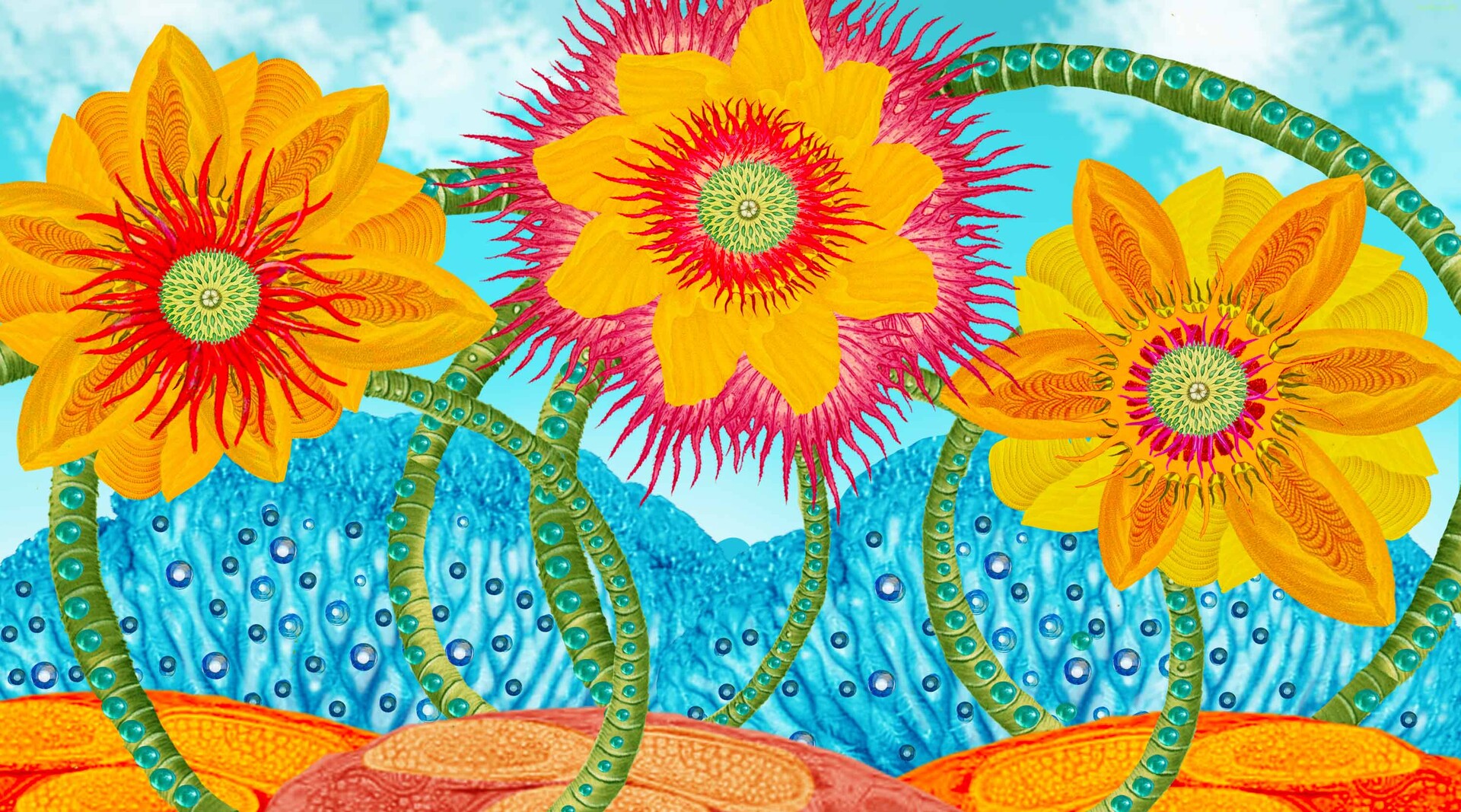 ArtStation Tussiemussie