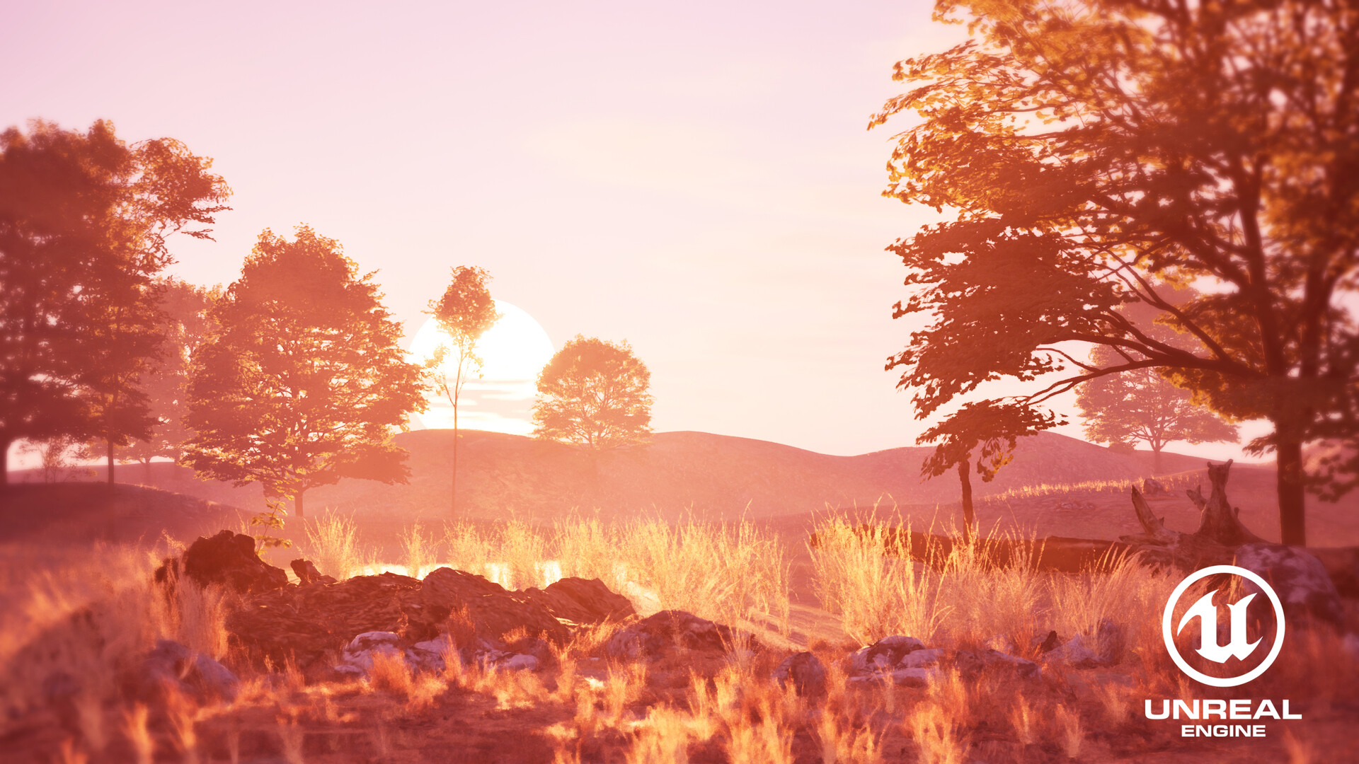 ArtStation - Unreal Engine 5 - Environment Set-Up Practice