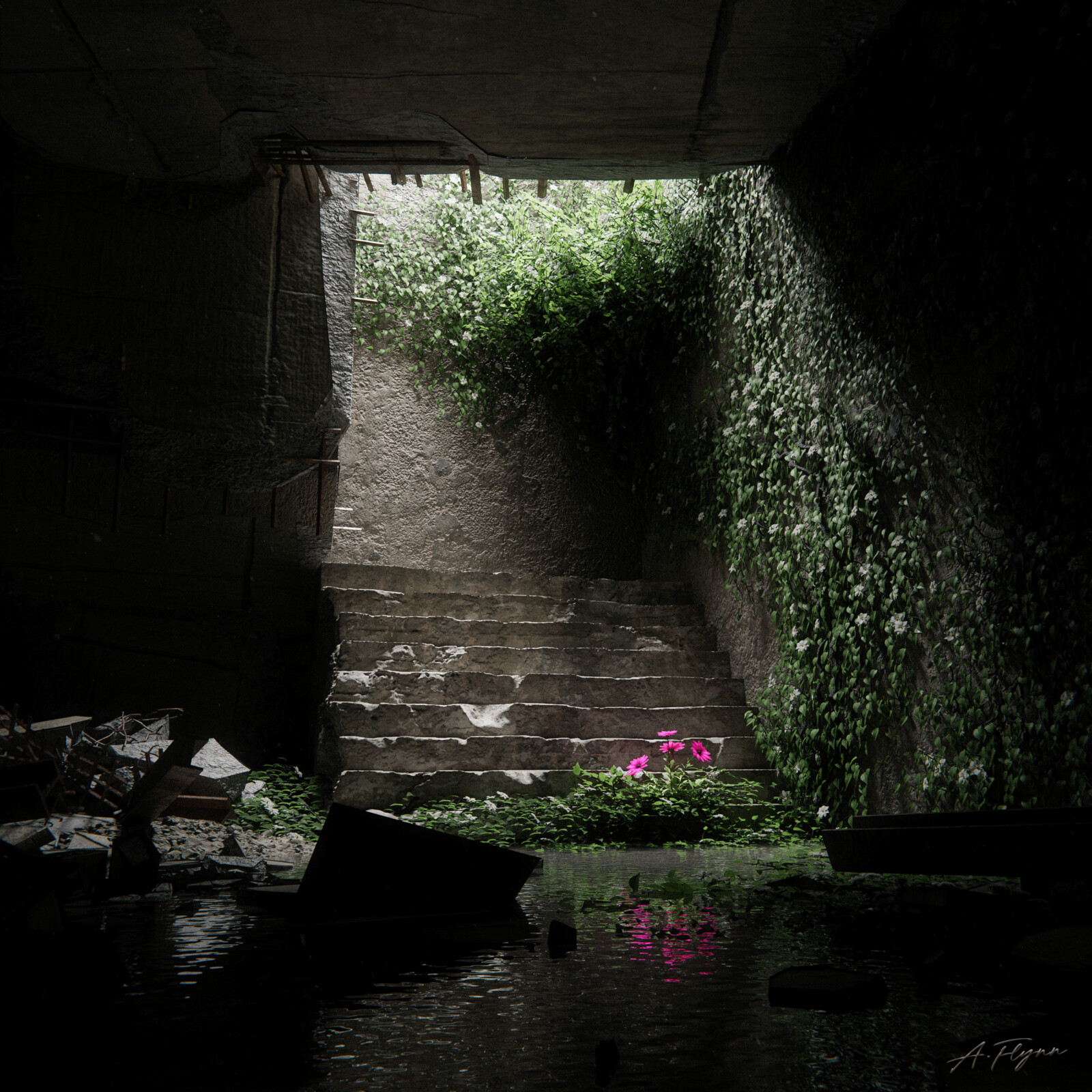 Life Among Ruins