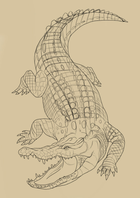 First sketch 