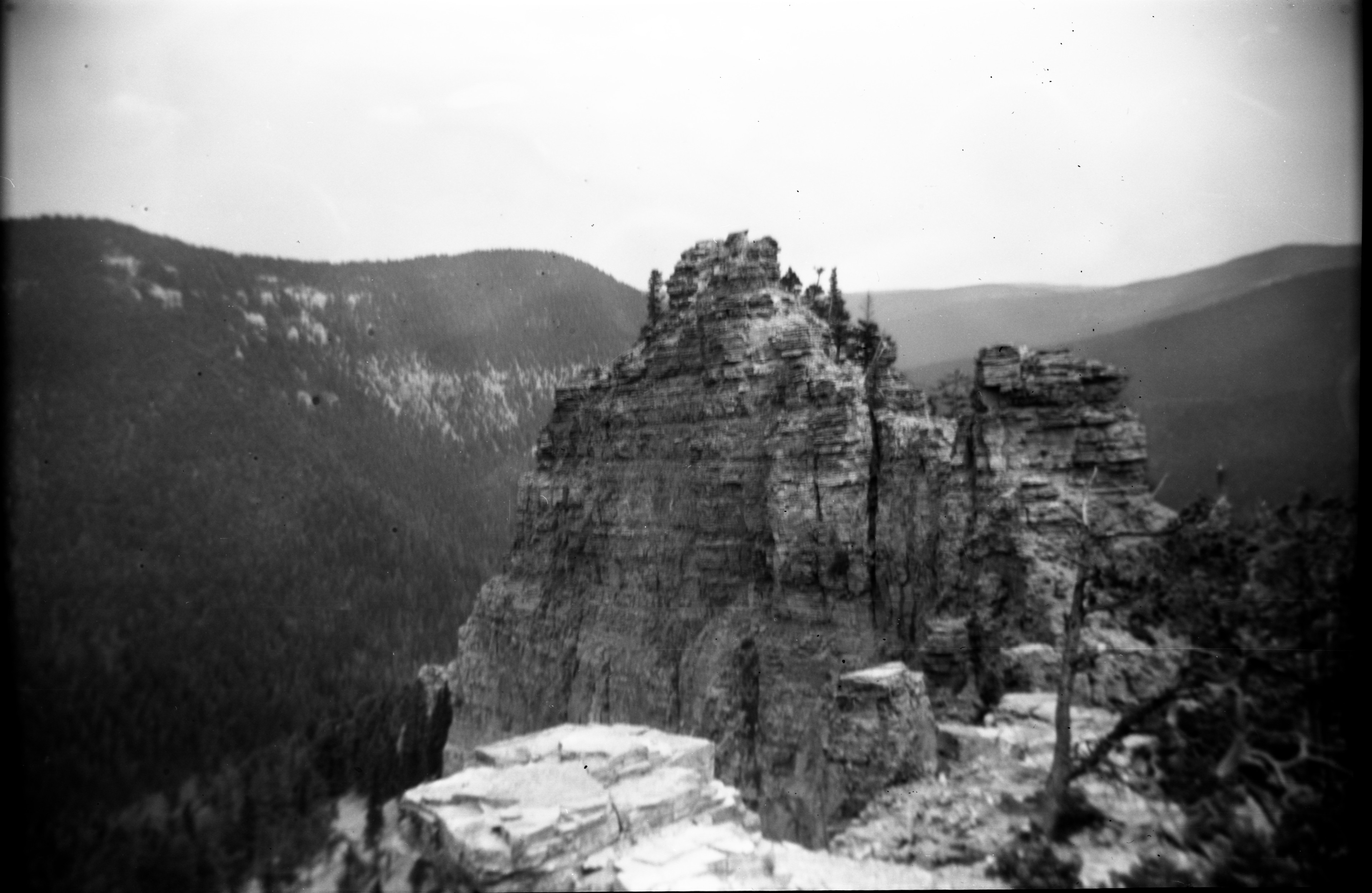 2021 - 6x9 120 - Shot on an Ansco Box Camera. I wish that this was less blurry, but I really like this old-timey look. Maybe I'll give box cameras another shot.
