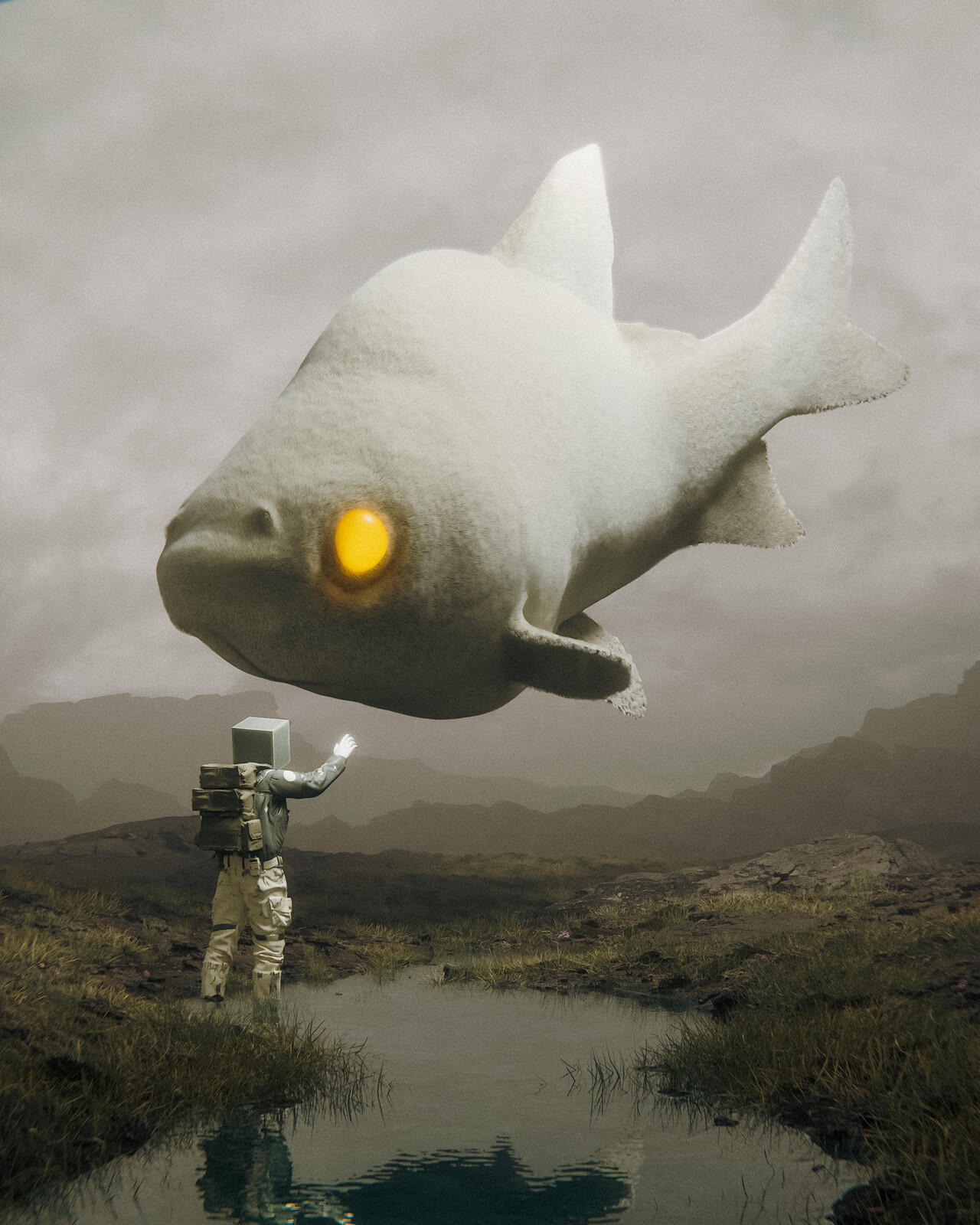a place where fish fly
